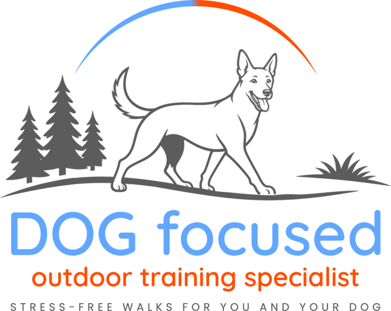 Dog Focused, outdoor training specialist