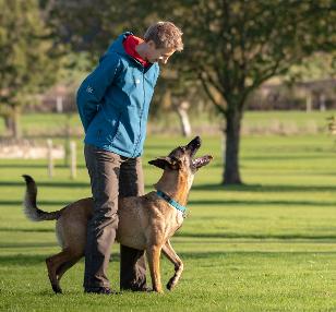 Dog trainer Agata Brzek playing middle game with her dog Arco