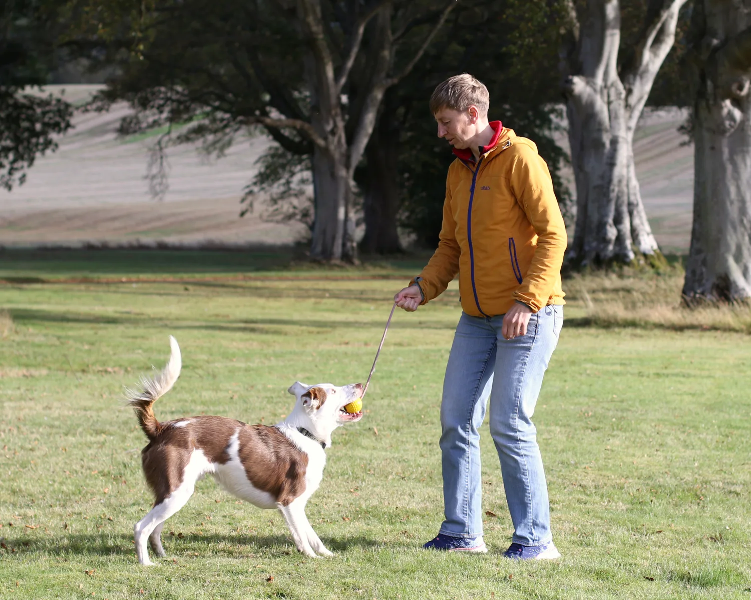 Agata training her dog Merrick with a ball on a rope in a park